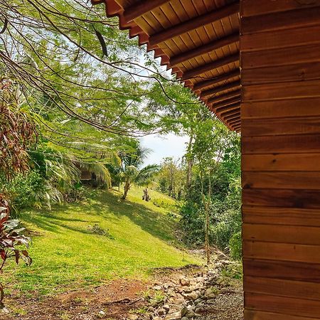 Hotel Soul Fire Casitas à Montezuma Extérieur photo