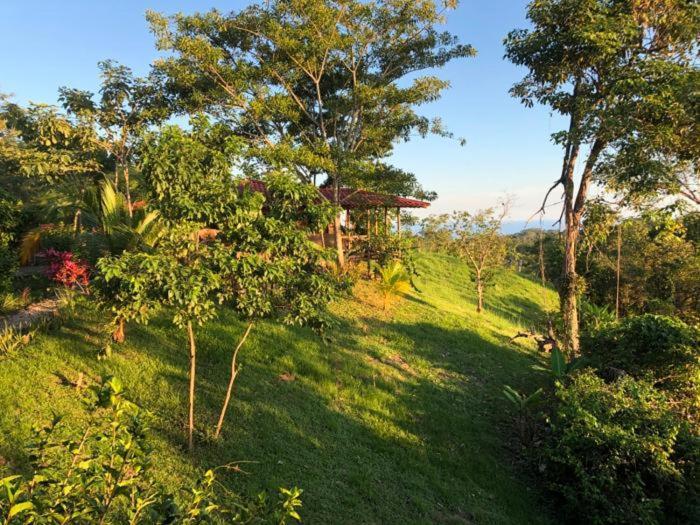 Hotel Soul Fire Casitas à Montezuma Extérieur photo